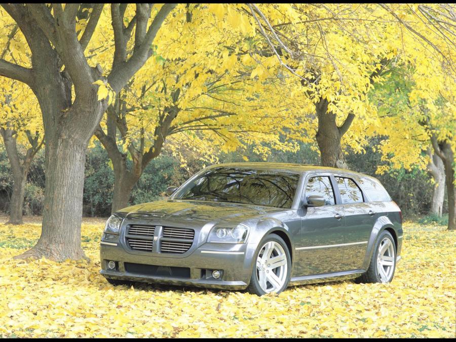  Dodge SRT8 Concept 2003 года  (фото 9 из 13)